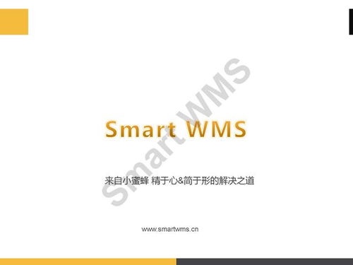 ppt分享 眼鏡行業(yè) 智慧倉儲管理解決方案